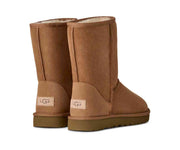 UGG Women's Classic Short II Boot in Chestnut — back view of both boots