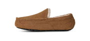 UGG Men's Ascot Slipper in Chestnut — side profile