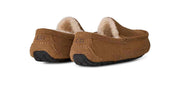 UGG Men's Ascot Slipper in Chestnut — back view of both slippers