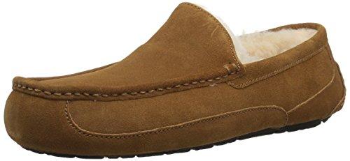 UGG Men's Ascot Slipper
