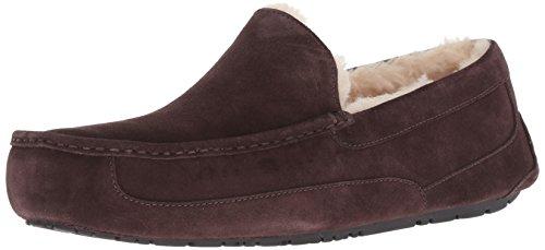 UGG Men's Ascot Slipper