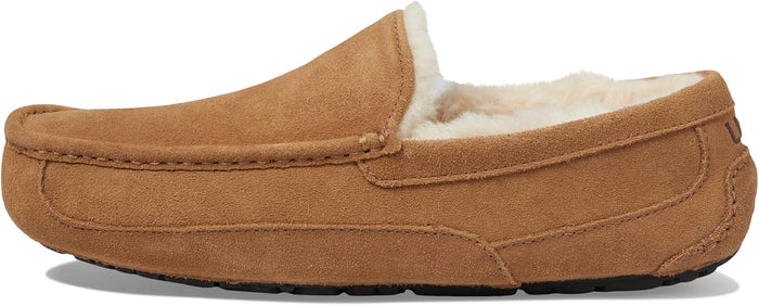UGG Men's Ascot Slipper