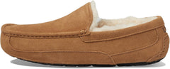 UGG Men's Ascot Slipper